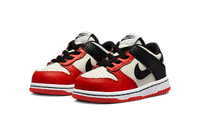 Dunk Low Kids NBA 75 | דאנק ילדים