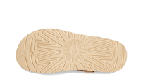 UGG GOLDENSTAR CLOG DRIFTWOOD | כפכפי אגג