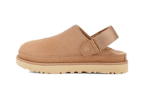 UGG GOLDENSTAR CLOG DRIFTWOOD | כפכפי אגג