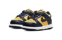 Dunk Low Kids Michigan | דאנק ילדים